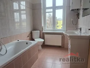 Prodej bytu 2+kk, Opava - Předměstí, 48 m2