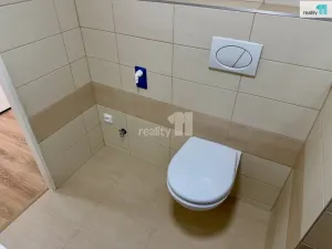 Pronájem bytu 1+kk, Plzeň - Severní Předměstí, Hodonínská, 31 m2