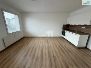 Pronájem bytu 1+kk, Plzeň - Severní Předměstí, Hodonínská, 31 m2