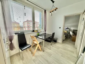 Pronájem bytu 3+1, Jihlava, S. K. Neumanna, 74 m2