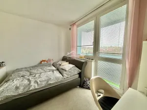 Pronájem bytu 3+1, Jihlava, S. K. Neumanna, 74 m2