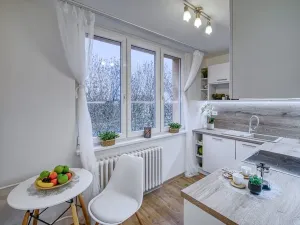 Pronájem bytu 2+1, Jirkov, Hornická, 51 m2