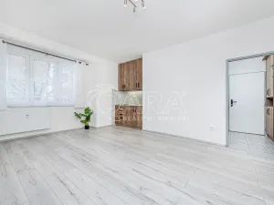 Prodej bytu 1+kk, Kralupy nad Vltavou - Lobeček, nám. Mládežníků, 27 m2