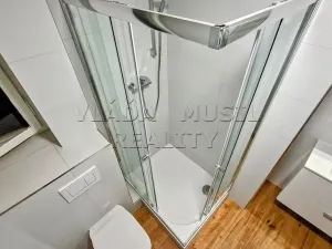 Pronájem bytu 1+1, Praha - Libeň, Novákových, 37 m2