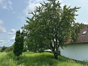 Prodej rodinného domu, Lešany, 132 m2