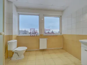 Pronájem bytu 2+1, Jindřichův Hradec, Miřiovského, 35 m2