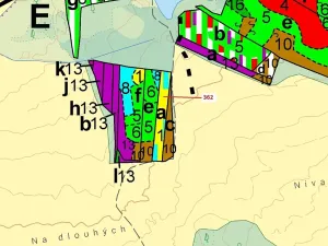 Dražba lesa, Trhové Sviny, 2498 m2