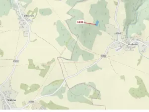 Dražba lesa, Stebno, 1462 m2