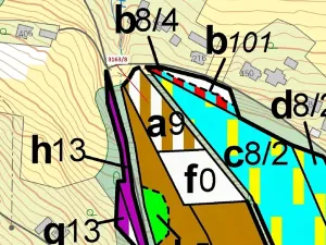Dražba lesa, Třinec, 1981 m2
