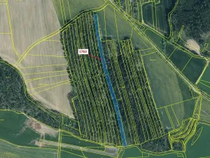 Dražba lesa, Koloveč, 7329 m2