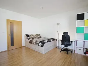 Pronájem bytu 1+kk, Brno, Křídlovická, 31 m2