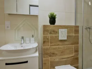 Pronájem bytu 1+1, Brno, Koliště, 24 m2