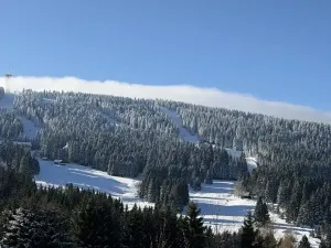 Prodej rodinného domu, Loučná pod Klínovcem, 486 m2