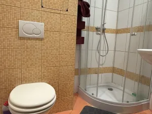 Pronájem bytu 1+kk, Havířov, Karolíny Světlé, 24 m2