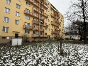 Pronájem bytu 1+kk, Havířov, Karolíny Světlé, 24 m2