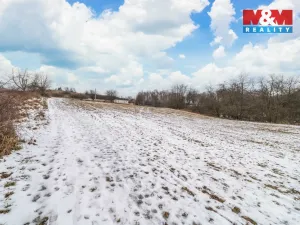 Prodej pozemku pro bydlení, Břasy - Vranovice, 3877 m2