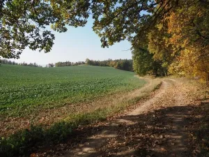 Prodej pozemku pro bydlení, Zlobice, 828 m2