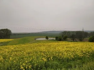 Prodej pozemku pro bydlení, Zlobice, 828 m2