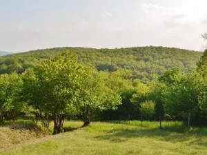 Prodej pozemku pro bydlení, Zlobice, 828 m2