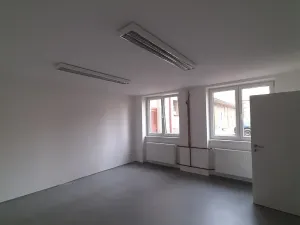 Pronájem komerční nemovitosti, Lužany, 50 m2