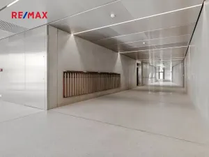 Pronájem bytu 2+kk, Praha - Karlín, Křižíkova, 79 m2