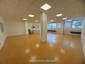 Pronájem výrobních prostor, Znojmo, Průmyslová, 450 m2