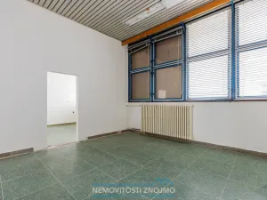 Pronájem obchodního prostoru, Znojmo, Uhelná, 450 m2