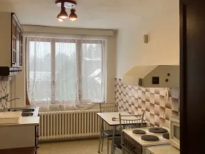 Pronájem bytu 1+1, Šestajovice, Havlíčkova, 39 m2