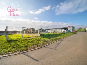 Prodej výrobních prostor, Těmice, 2178 m2