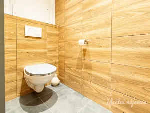 Pronájem bytu 3+kk, Praha - Chodov, Nechvílova, 67 m2