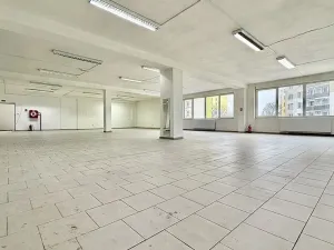Pronájem obchodního prostoru, Veselí nad Moravou, Chaloupky, 1200 m2