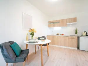 Pronájem bytu 1+kk, Jeseník, Na Mýtince, 36 m2