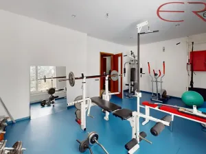 Prodej rodinného domu, Mladá Boleslav - Chrást, 256 m2