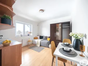 Prodej bytu 1+kk, Šestajovice, Revoluční, 17 m2