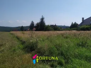 Prodej pozemku pro bydlení, Hvozdnice, 5887 m2