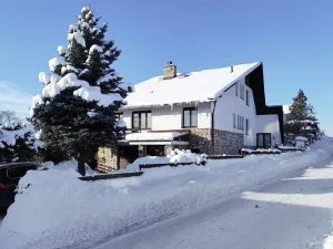 Prodej vícegeneračního domu, Vrchlabí, J. Kablíkové, 252 m2