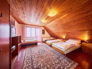 Prodej vícegeneračního domu, Vrchlabí, J. Kablíkové, 252 m2