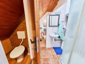 Prodej vícegeneračního domu, Vrchlabí, J. Kablíkové, 252 m2