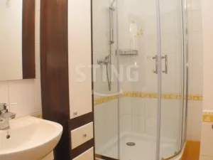 Pronájem bytu 1+kk, Opava, Antonína Sovy, 32 m2