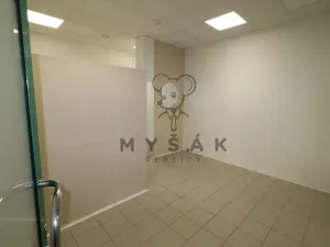 Pronájem obchodního prostoru, České Budějovice - České Budějovice 3, Pražská tř., 24 m2