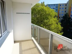 Pronájem bytu 1+kk, Plzeň - Severní Předměstí, Elišky Krásnohorské, 33 m2