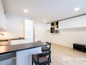 Pronájem bytu 1+kk, Praha - Hostivař, Nurmiho, 40 m2