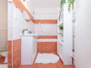 Pronájem bytu 2+1, Olomouc - Nové Sady, Fischerova, 43 m2