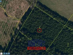 Prodej lesa, Otín, 4352 m2