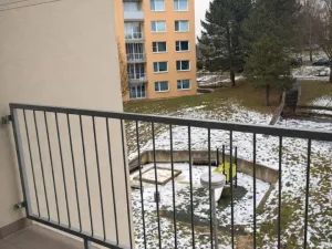 Pronájem bytu 1+kk, Strakonice - Přední Ptákovice, Šumavská, 25 m2