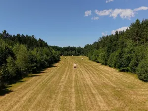 Prodej komerčního pozemku, Čejkovice, 121779 m2