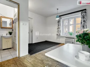 Pronájem bytu 1+kk, Ústí nad Labem - Ústí nad Labem-centrum, Emy Destinové, 21 m2