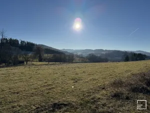 Prodej pozemku pro bydlení, Bušanovice - Beneda, 6064 m2