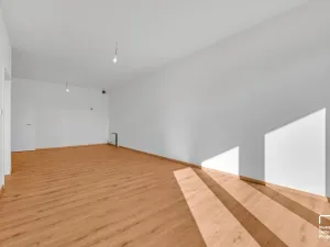 Prodej bytu 2+kk, České Budějovice, K. Šatala, 64 m2