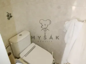 Pronájem bytu 1+1, České Budějovice - České Budějovice 1, Kněžská, 30 m2